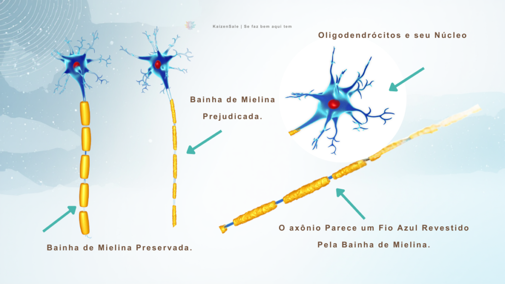 Diagrama explicativo da bainha de mielina como isolante elétrico do neurônio.